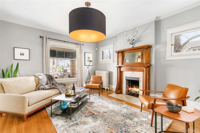 3701 Eliot St, Denver, CO 80211 - living area featuring radiator, ornamental molding, a premium fireplace, and wood finished floors