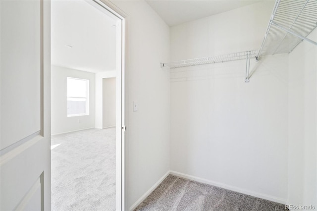 13586 E 110th Dr, Commerce City, CO 80022 - photo 28