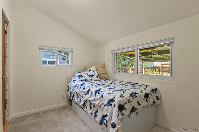 1446 S Grant St, Denver, CO 80210 - photo 21