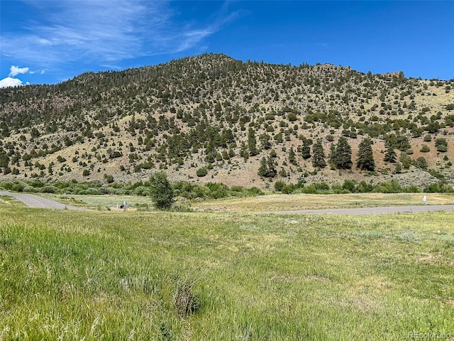 61 N Alder Creek Ln, South Fork, CO 81154
