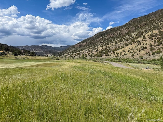 61 N Alder Creek Ln, South Fork, CO 81154