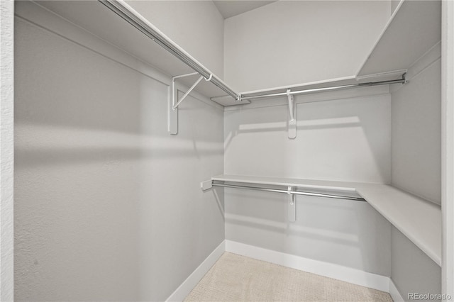 4737 E Iliff Ave, Denver, CO 80222 - spacious closet with carpet