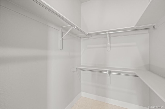 4737 E Iliff Ave, Denver, CO 80222 - view of walk in closet