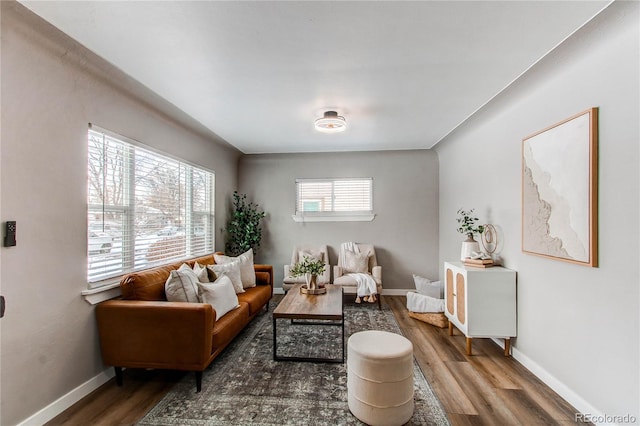 living area featuring dark wood-type flooring