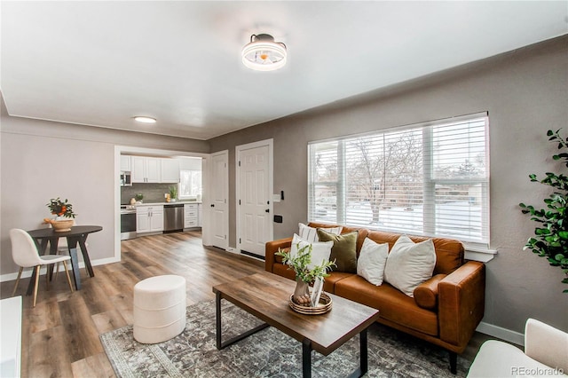 living room with hardwood / wood-style flooring