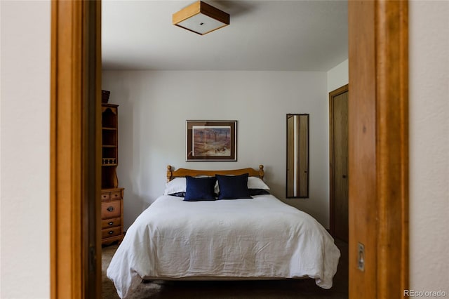 29101 Drexel Spur, Evergreen, CO 80439 - view of carpeted bedroom
