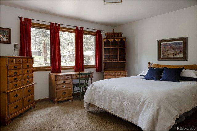 29101 Drexel Spur, Evergreen, CO 80439 - bedroom featuring light colored carpet