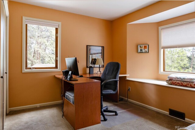 29101 Drexel Spur, Evergreen, CO 80439 - carpeted home office featuring plenty of natural light