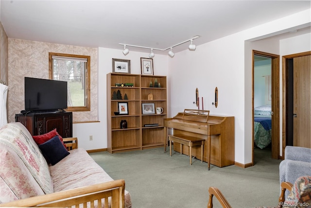 29101 Drexel Spur, Evergreen, CO 80439 - living room with carpet and track lighting