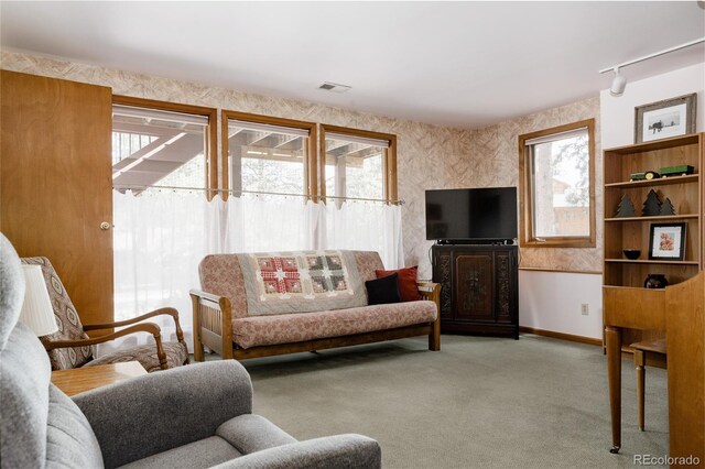29101 Drexel Spur, Evergreen, CO 80439 - carpeted living area featuring plenty of natural light and track lighting