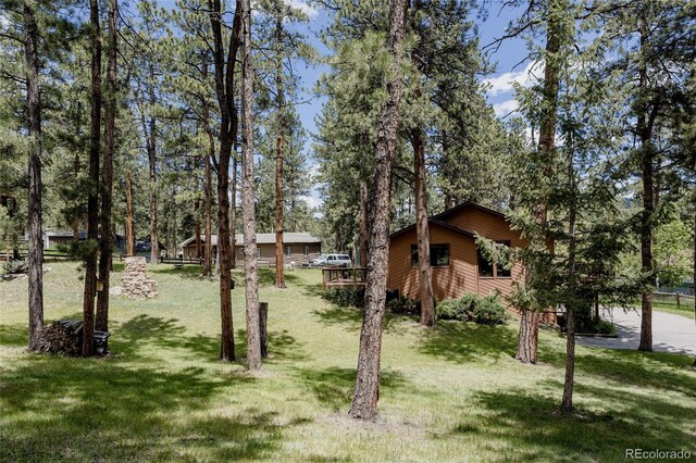 29101 Drexel Spur, Evergreen, CO 80439 - view of grassy yard