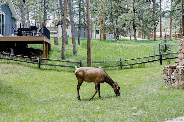 29101 Drexel Spur, Evergreen, CO 80439 - view of yard with a wooden deck