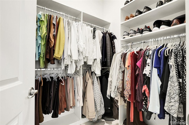 12258 Hazel Spruce Ct, Parker, CO 80134 - view of walk in closet