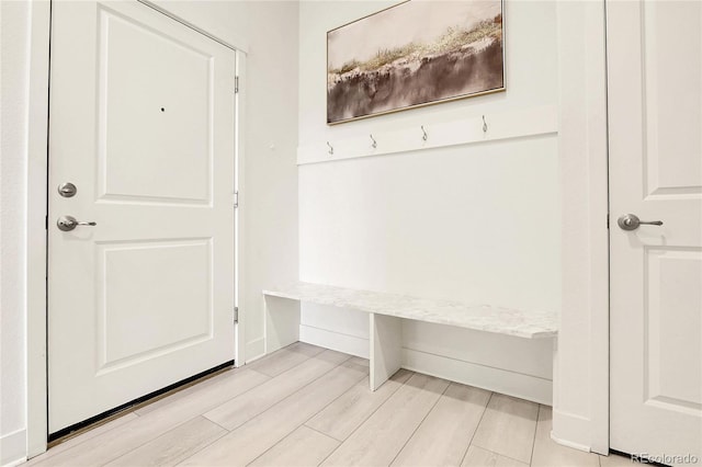 12258 Hazel Spruce Ct, Parker, CO 80134 - mudroom featuring light wood-type flooring