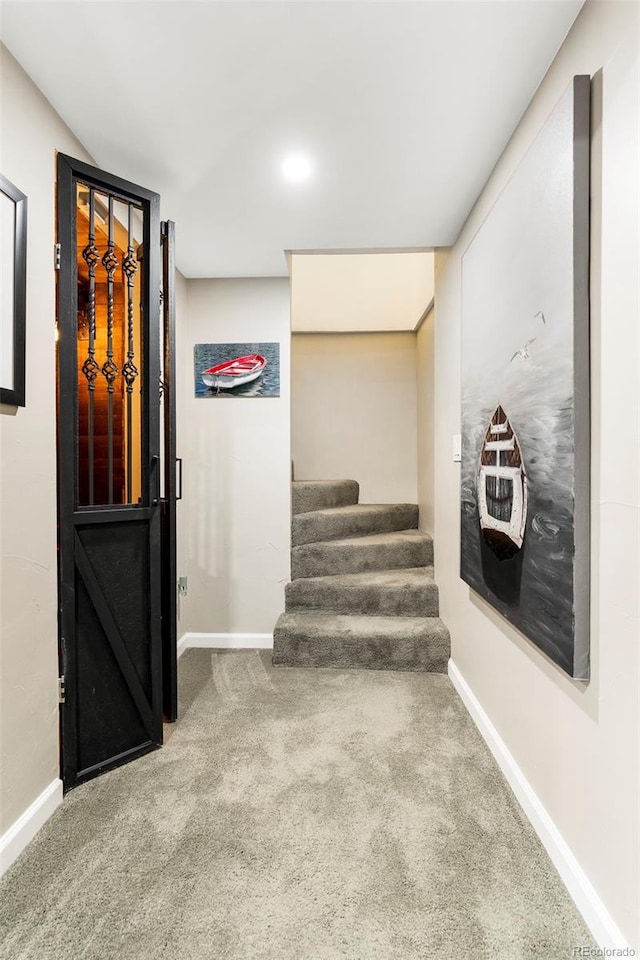 staircase featuring carpet