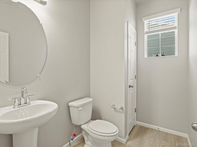 bathroom with sink, wood-type flooring, and toilet