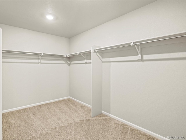 walk in closet with carpet