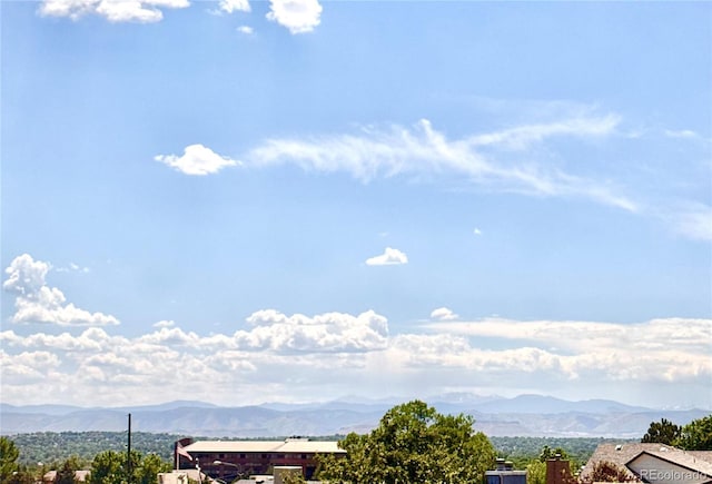 8897 Wagner Ln, Westminster, CO 80031 - photo 35