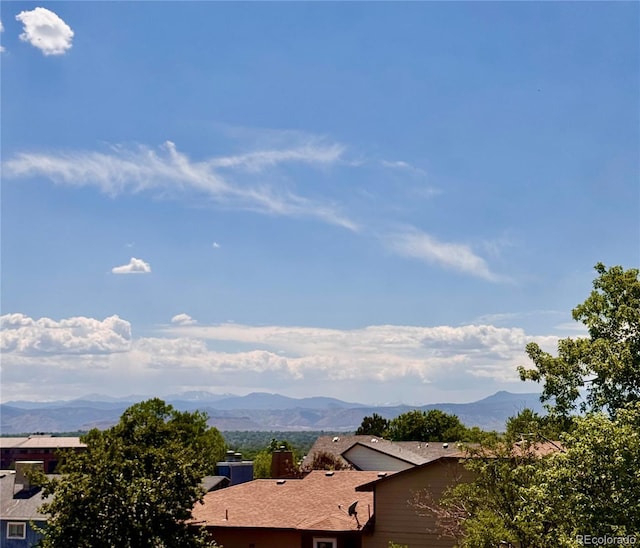 8897 Wagner Ln, Westminster, CO 80031 - photo 34