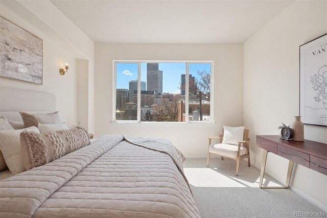 carpeted bedroom featuring baseboards and a city view