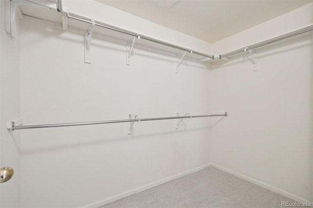 spacious closet with carpet flooring