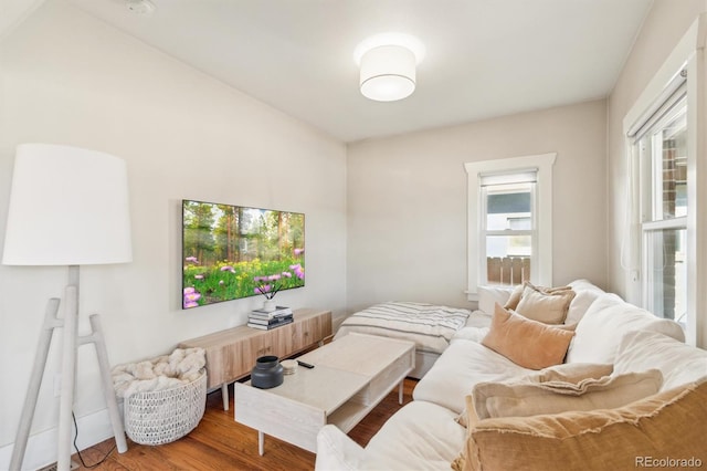 bedroom with wood finished floors