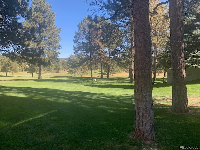 view of community featuring a yard