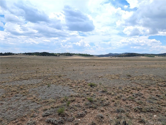 956 Apache Trl, Hartsel, CO 80449 - photo 2