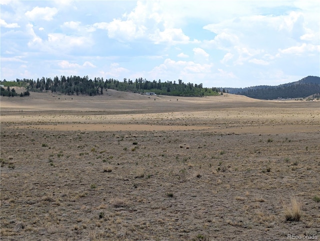 956 Apache Trl, Hartsel, CO 80449 - photo 5