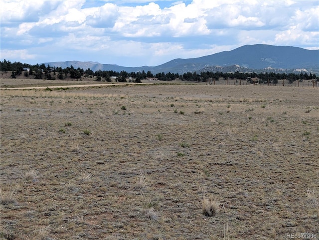 956 Apache Trl, Hartsel, CO 80449 - photo 7