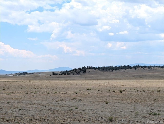 956 Apache Trl, Hartsel, CO 80449 - photo 11