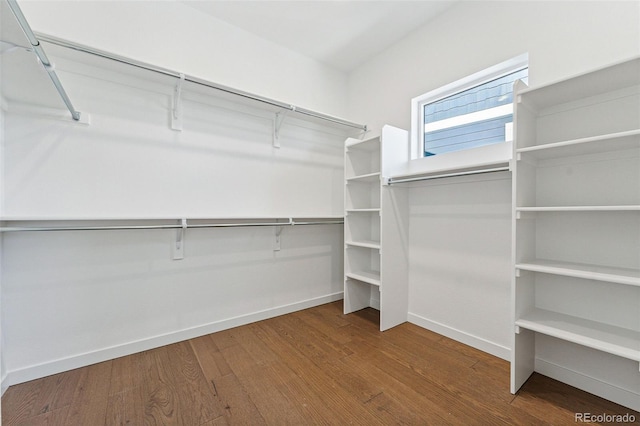 spacious closet featuring hardwood / wood-style flooring