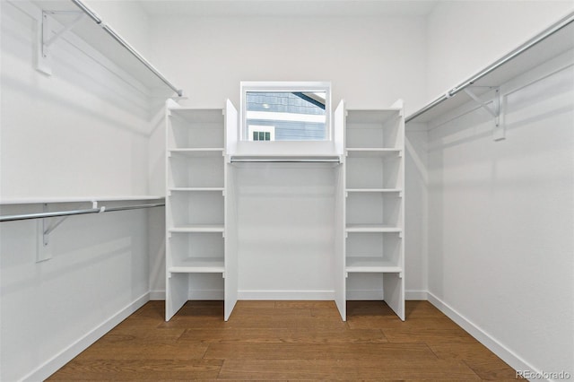 spacious closet featuring hardwood / wood-style flooring