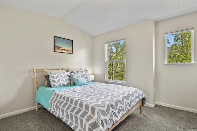 bedroom with carpet floors, lofted ceiling, and baseboards