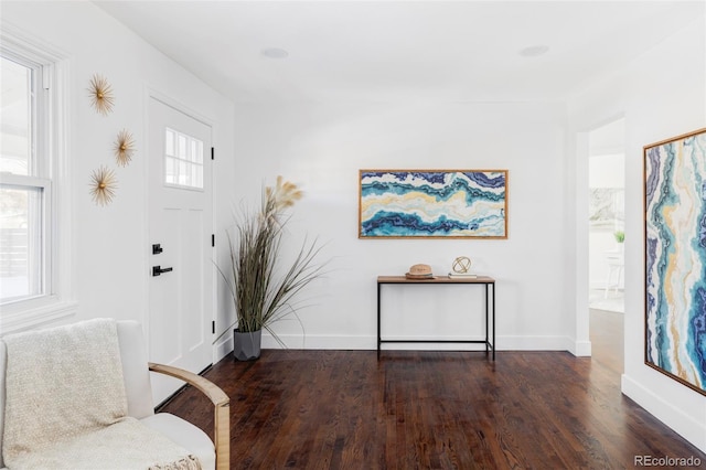 foyer with dark hardwood / wood-style flooring