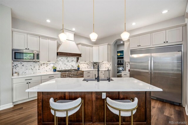 kitchen featuring high quality appliances, premium range hood, dark hardwood / wood-style floors, and decorative backsplash