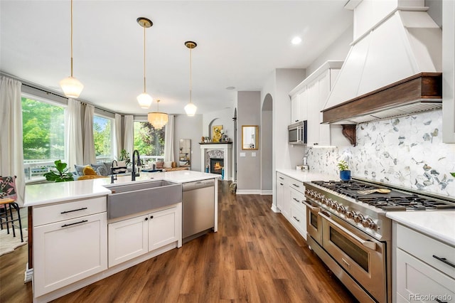 kitchen featuring dark hardwood / wood-style flooring, stainless steel appliances, white cabinets, sink, and custom range hood