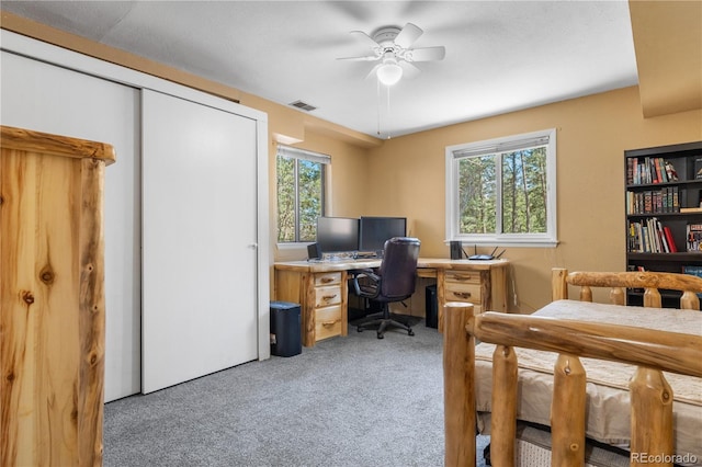 25531 Mosier Cir, Conifer, CO 80433 - office area featuring a ceiling fan and light colored carpet