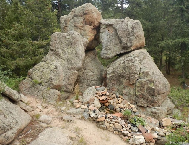 25531 Mosier Cir, Conifer, CO 80433 - exterior view of a forest