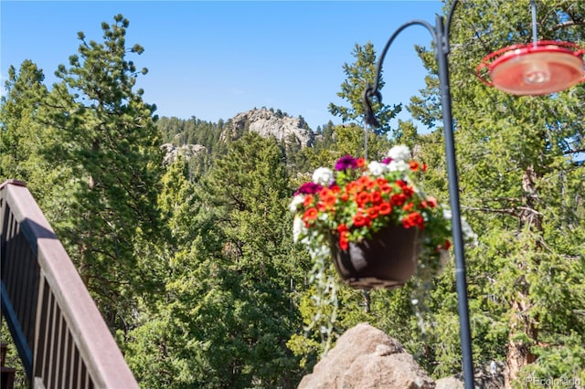 25531 Mosier Cir, Conifer, CO 80433 - exterior view