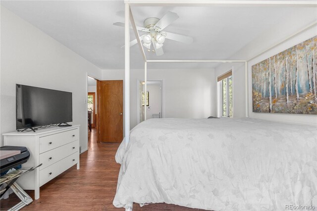 25531 Mosier Cir, Conifer, CO 80433 - bedroom featuring dark wood-style flooring and a ceiling fan