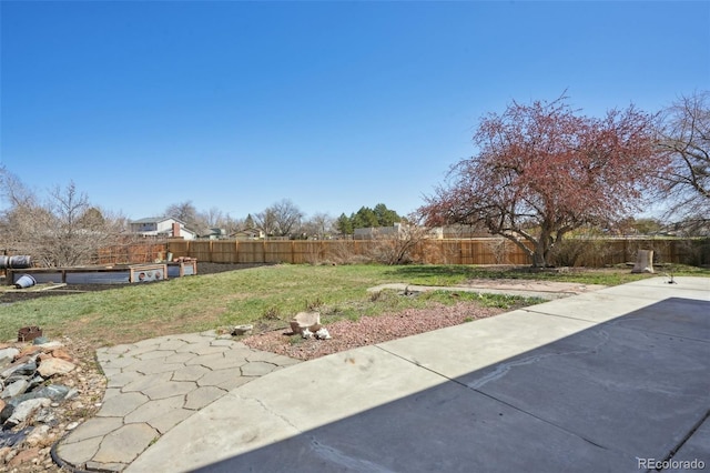 view of yard featuring a fenced backyard and a patio