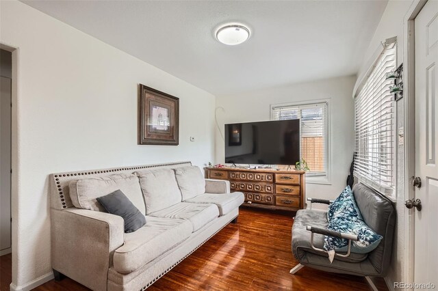 6736 Grove St, Denver, CO 80221 - living room with wood finished floors