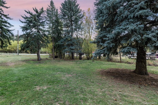 view of yard at dusk