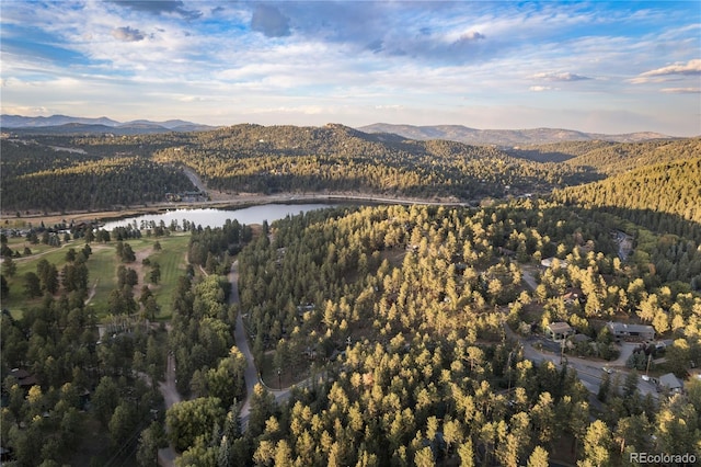 property view of mountains with a forest view and a water view