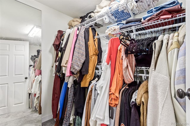 spacious closet featuring carpet flooring