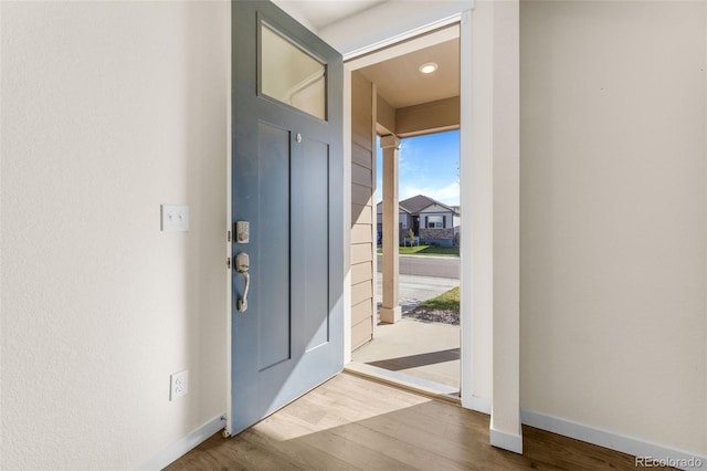 foyer entrance with wood-type flooring