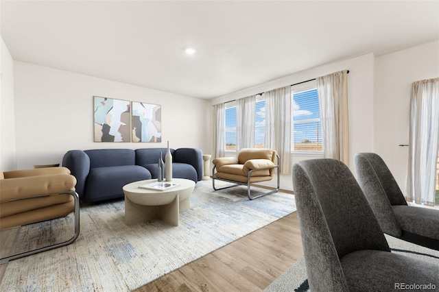 living room with light hardwood / wood-style flooring