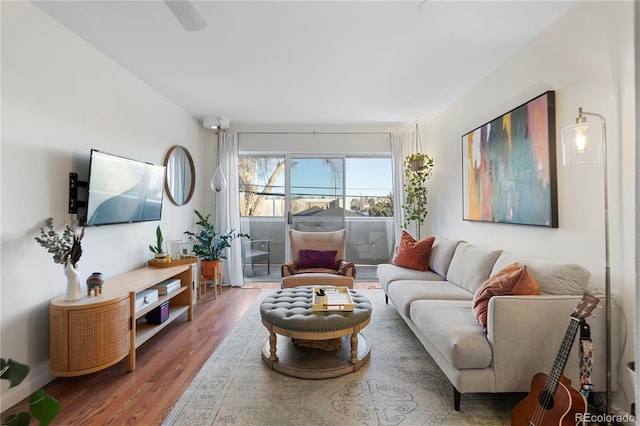 living room featuring wood-type flooring