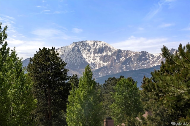 1908 Valley View Dr, Woodland Park, CO 80863 - mountain view
